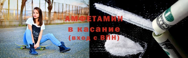 шишки Козельск