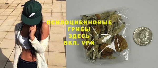 спайс Кодинск