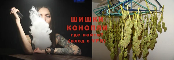 мдпв Козловка