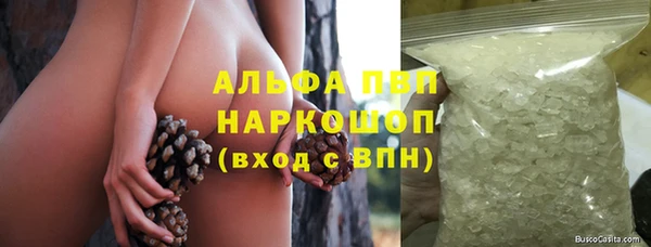 сатива Костерёво
