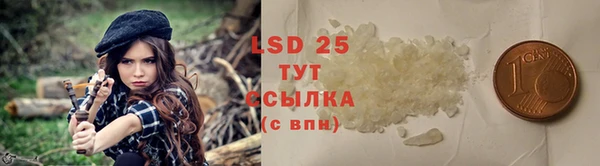 шишки Козельск