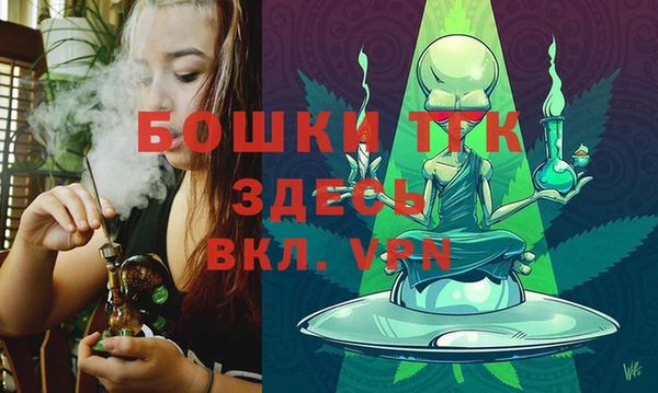 сатива Костерёво