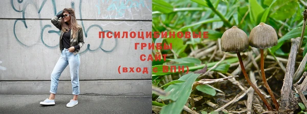 мдпв Козловка
