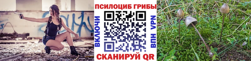 Галлюциногенные грибы прущие грибы  где купить   KRAKEN ССЫЛКА  Сызрань 